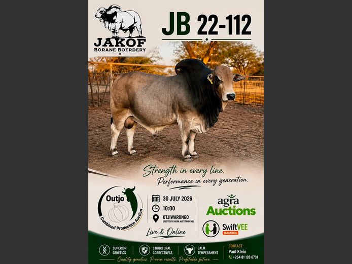22-0112JB | JAKOF BORANE