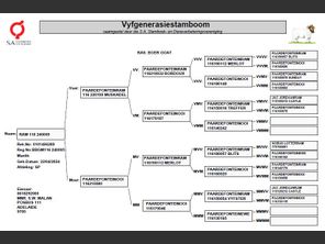 genetic_data