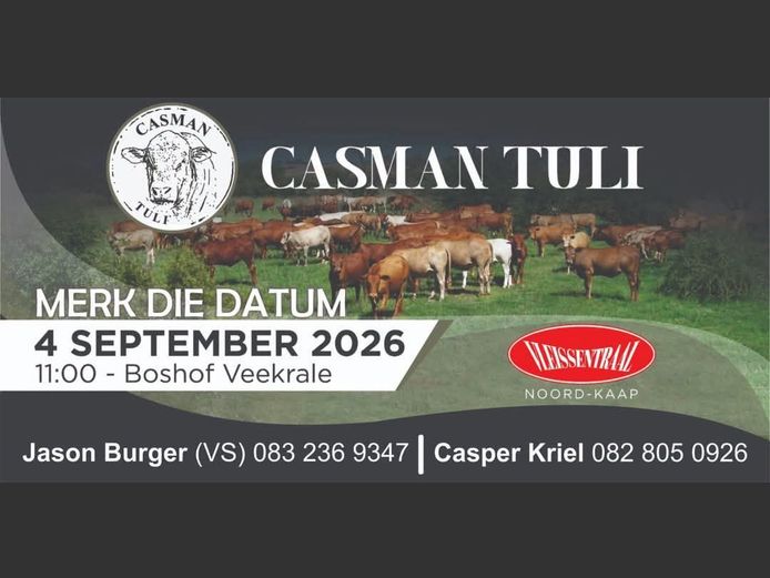 CASMAN TULI VEILING