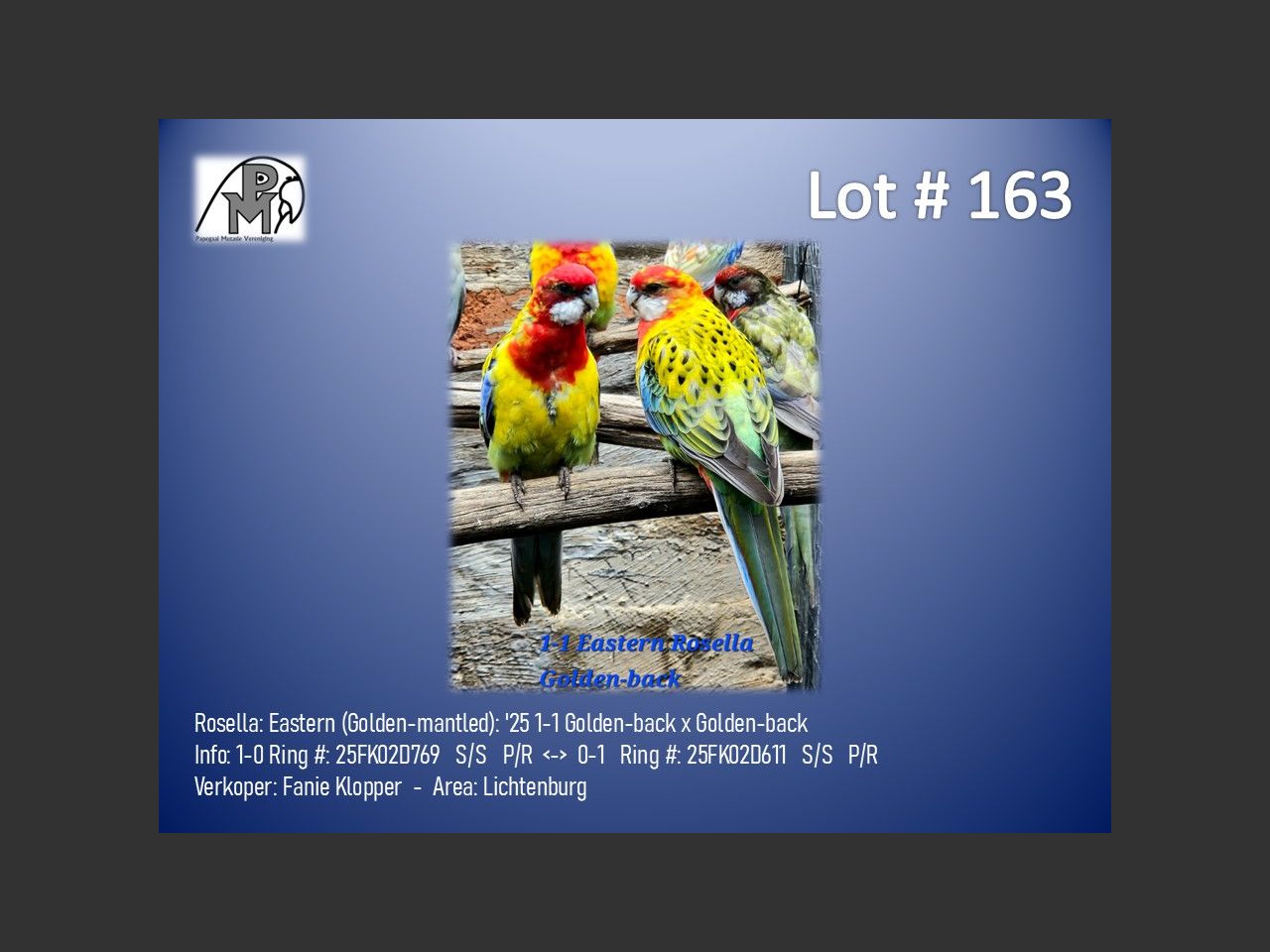 images