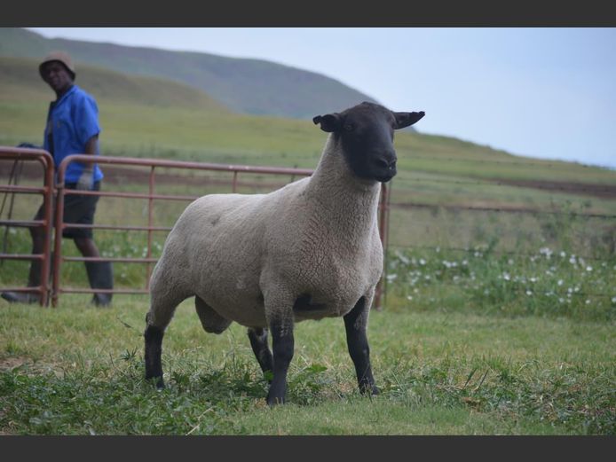 301 240347 | TWEESEUNS