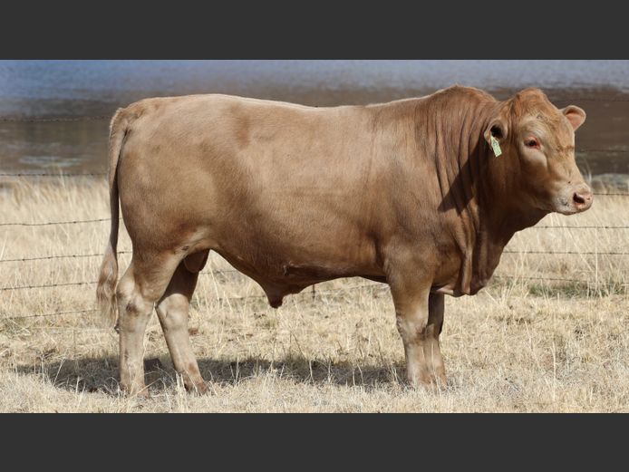 HBH 230103 | CLARK CATTLE COMPANY PTY LTD