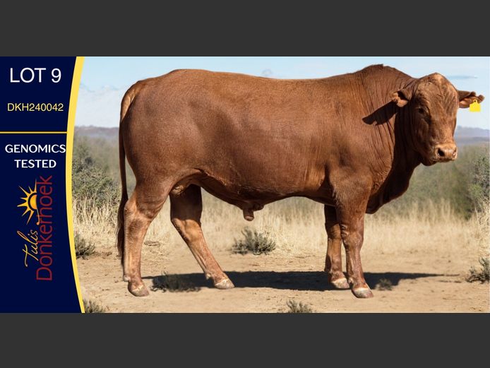 DKH240042 | DONKERHOEK BOERDERY TRUST