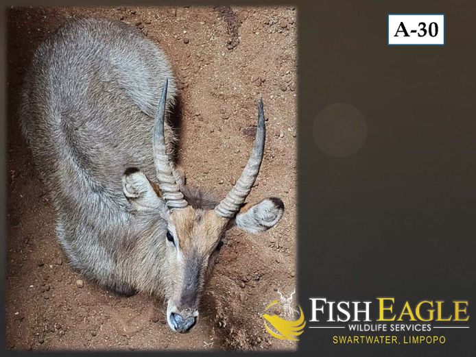 WATERBOK