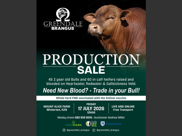 GREENDALE BRANGUS PRODUCTION SALE