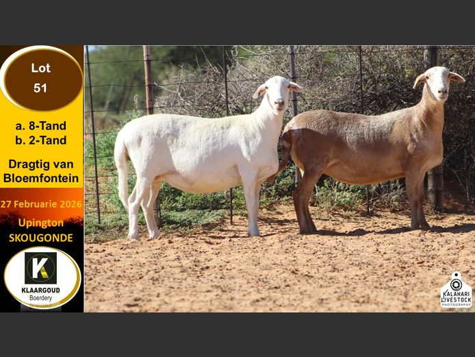 CP 51B | Chris Potgieter & Christia Scholtz - Klaargoud Boerdery