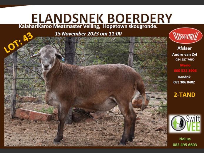 RSL B218 | ELANDSNEK BOERDERY