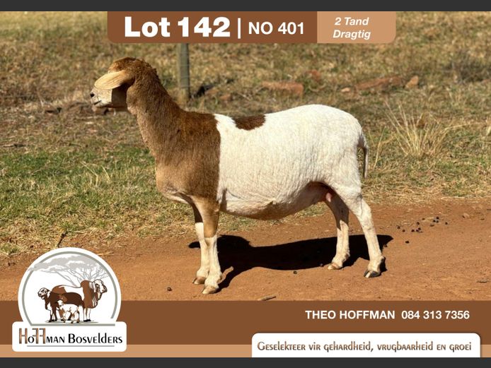 401 | HOFFMAN BOSVELDERS
