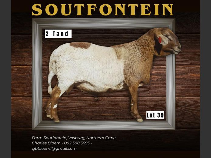 CB 240142 | SOUTFONTEIN MEATMASTERS