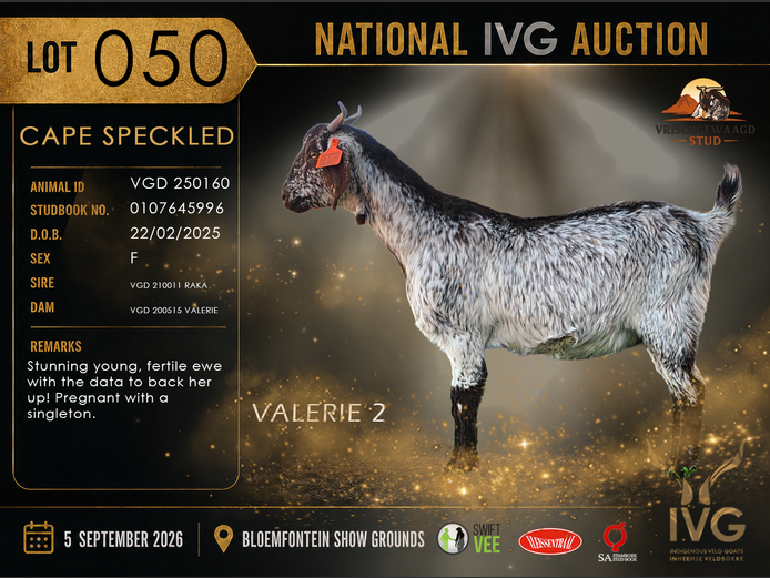 VGD 250160 VALERIE 2 | VRISCHGEWAAGD STOET