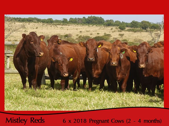 Commercial Animals | Mistley Red - Les Trollope