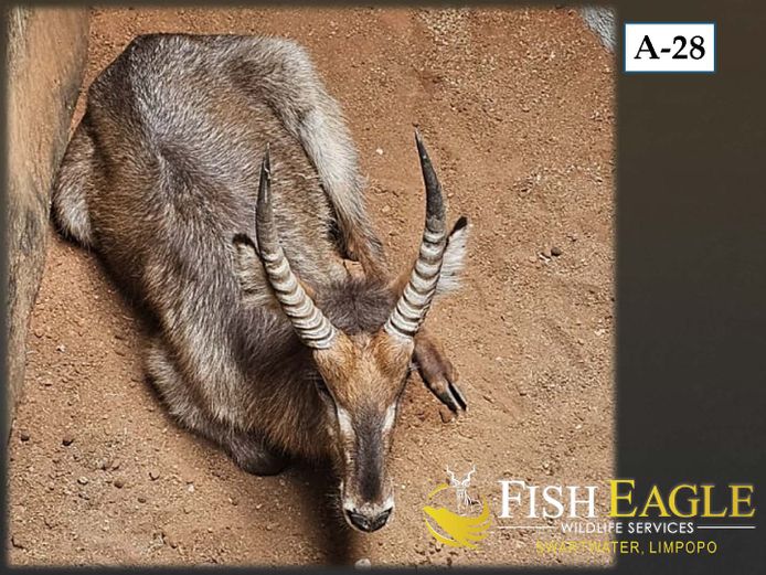 WATERBOK