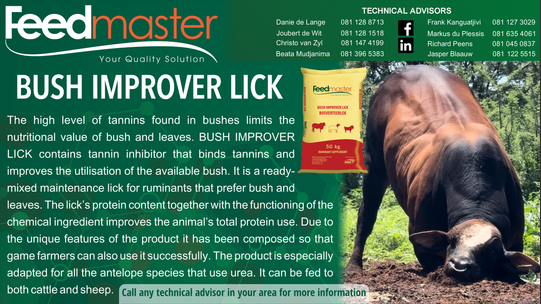 Feedmaster