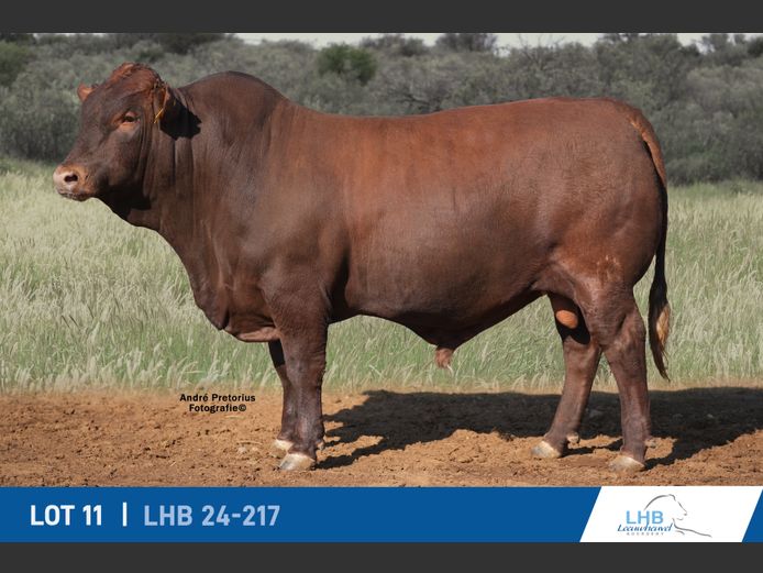 LHB240217 | LEEUHEUWEL BOERDERY (EDMS) BPK
