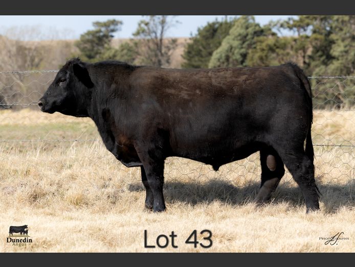 KCM 230033 | TABLE HILL FARMING PTY LTD