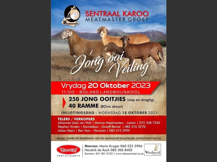 SENTRAAL KAROO MEATMASTER GROEP JONG OOI VEILING