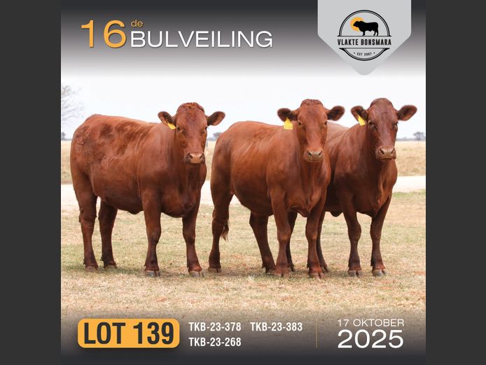Commercial Animals | TKB BONSMARAS