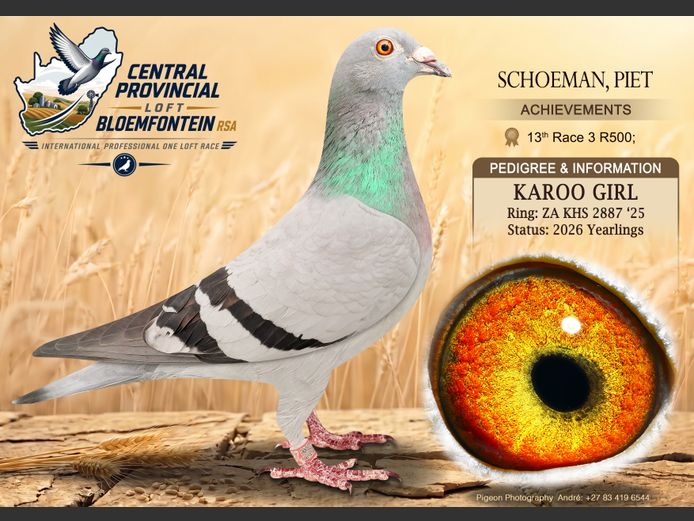 KHS 2887 2025 | SCHOEMAN, PIET
