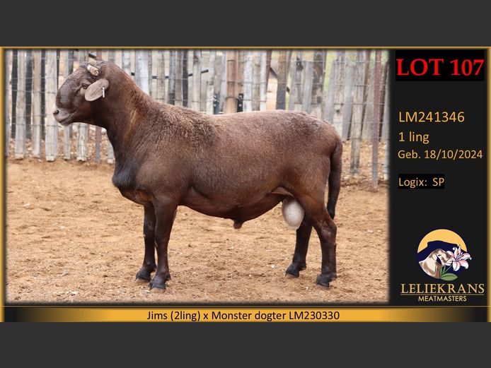 LM241346 | LELIEKRANS MEATMASTERS