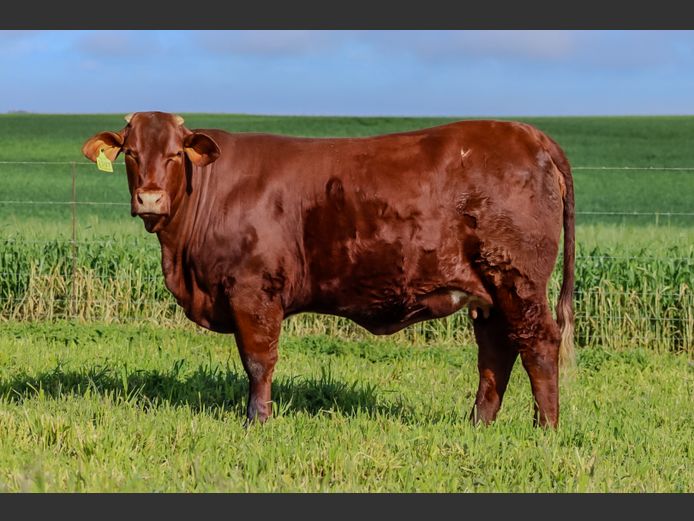 KT  230007 | KOCH FAMILIE TRUST