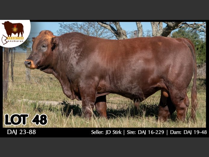 DAJ 230088 | J.D. STIRK