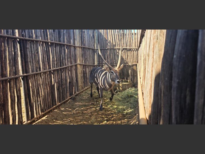 WATERBOK | HANLEY