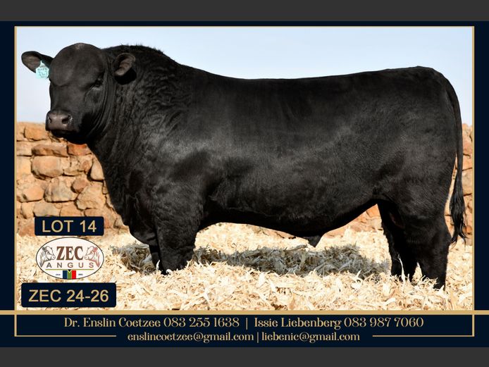 ZEC240026PcPc | Z.E. COETZEE