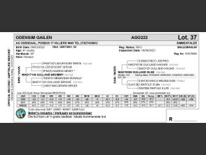 genetic_data
