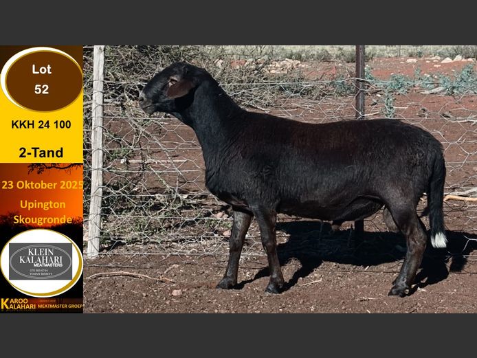 KKH 24.100 | Tommy Bissett - Klein Kalahari Meatmasters