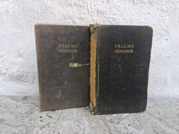 Vintage Afrikaans Hymnal: Psalms en Gesange