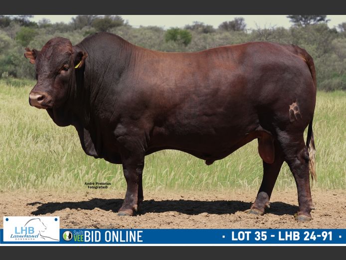 LHB 240091 | LEEUHEUWEL BOERDERY (EDMS) BPK