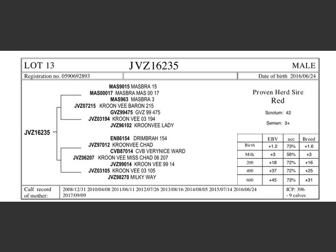 JVZ16-235