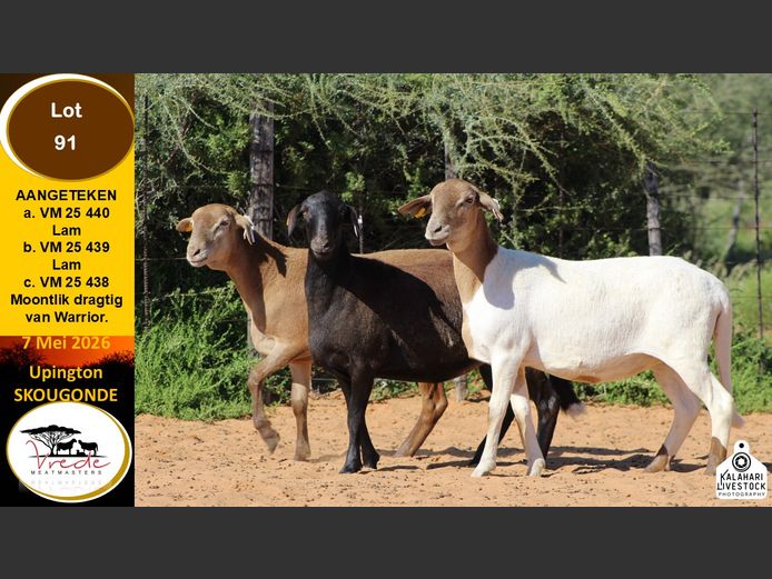 VM 25 440 | VREDE MEATMASTERS