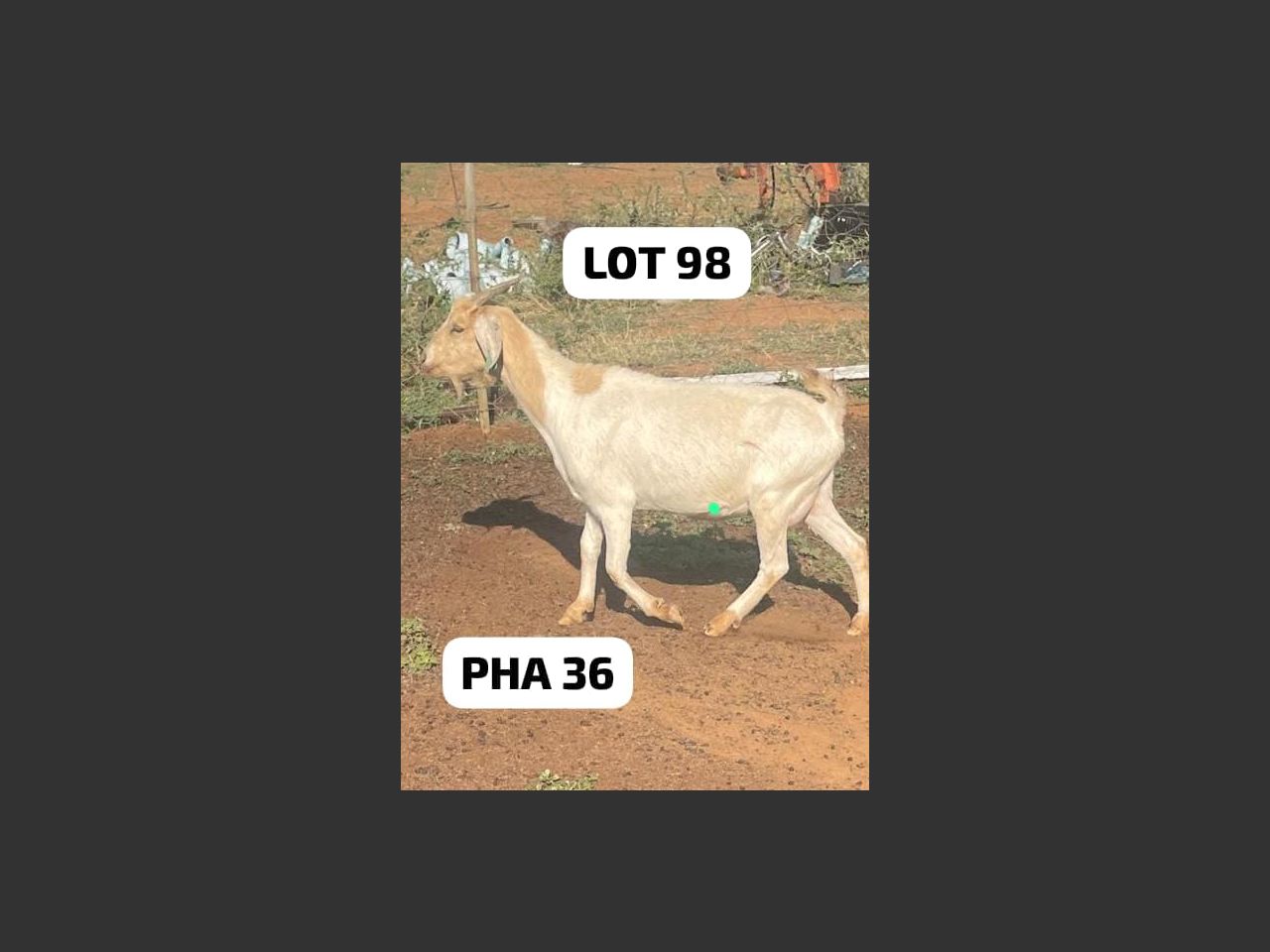 images