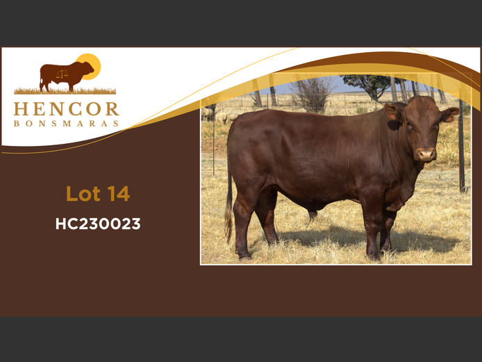 HC  230023 | HENCOR BOERDERY
