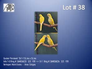 images