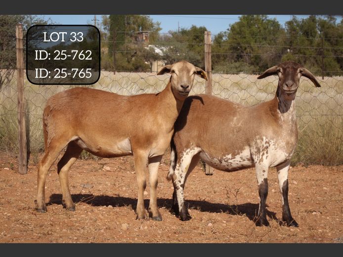 25-762 | 25-765 | MAKKA LOUWRENS MEATMASTERS