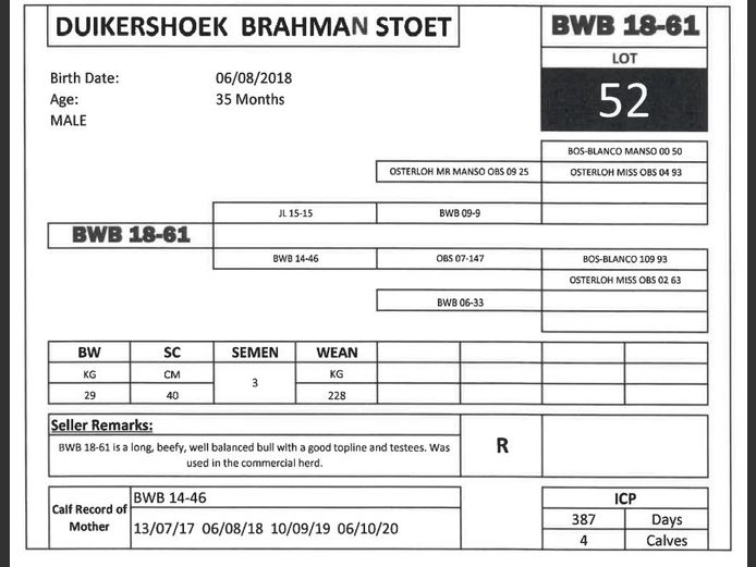 BWB 18-61