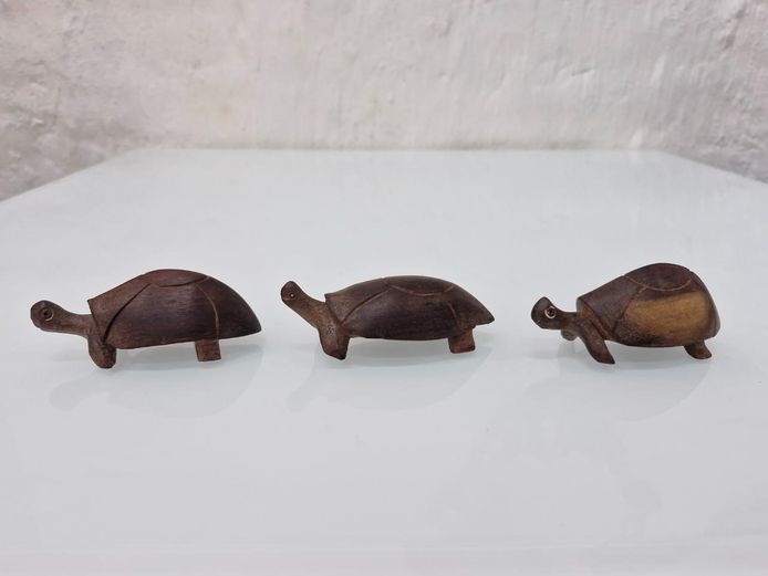 Set of 3 Miniature Hand-Carved Wooden Tortoise Figurines