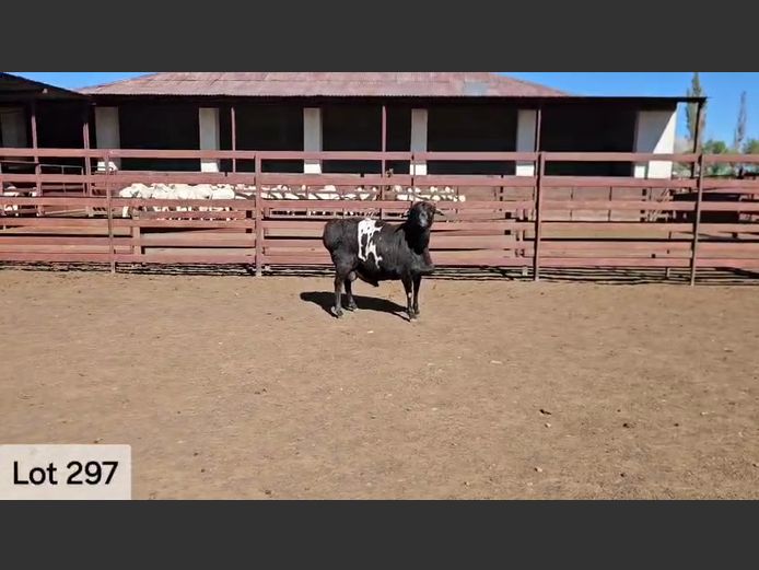 24-608 | Wiese Besigheidstrust