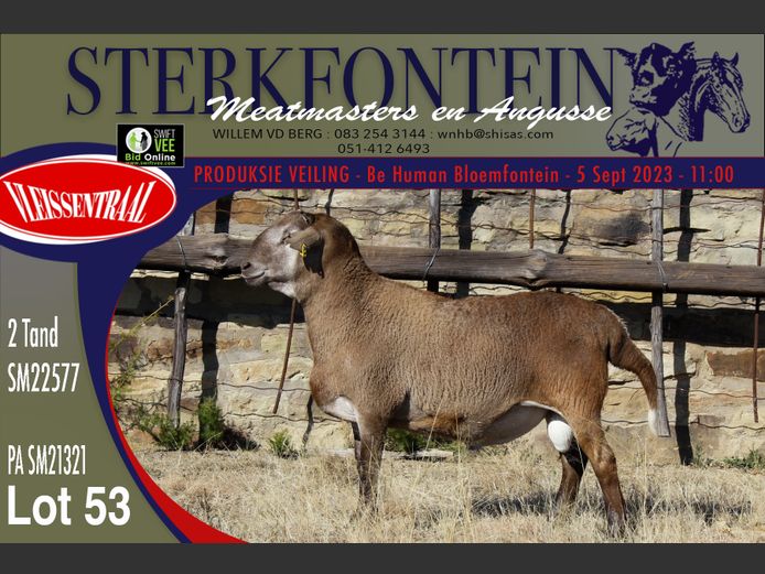 SM 22 577 | Sterkfontein Meatmasters