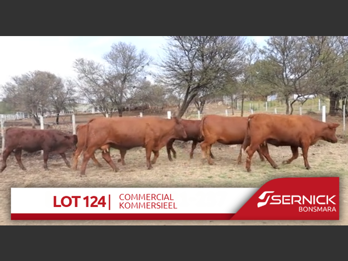 Commercial Animals