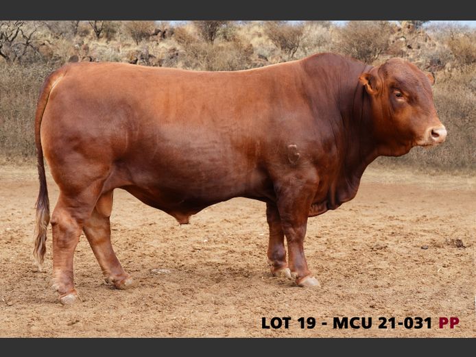 MCU21-0031