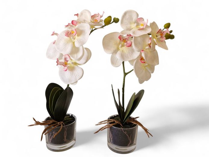 Set of 2 Artificial Orchid Plants in Clear Glass Pots