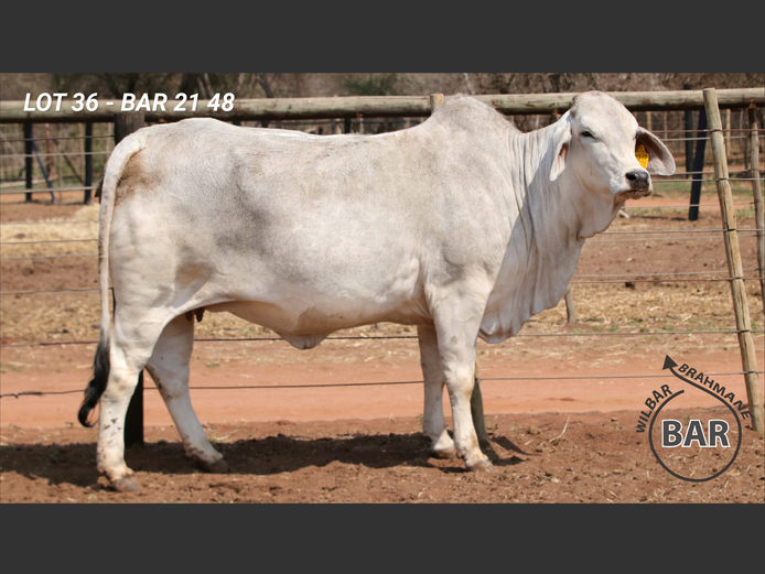 BAR2148 | BARNARD WJ