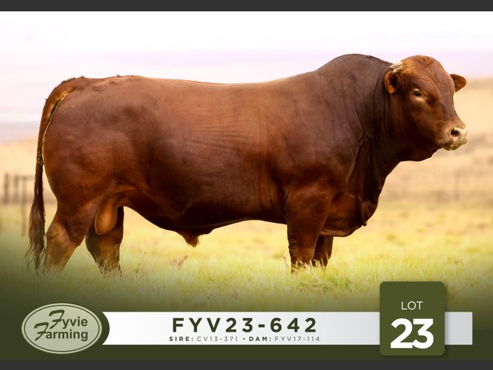 FYV23-642 | Fyvie