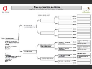 genetic_data