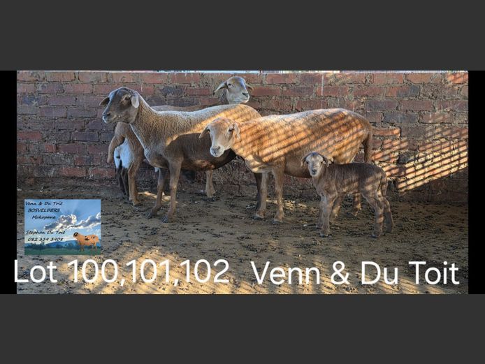 23/106 | VENN & DU TOIT BOSVELDERS
