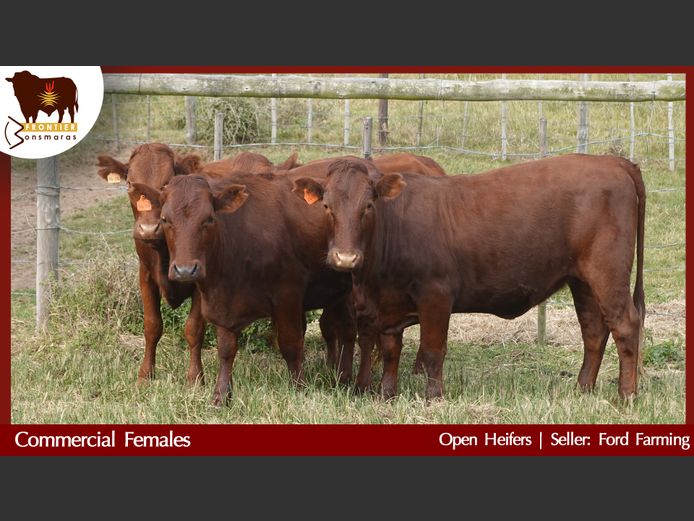 Commercial Animals | Ford Farming