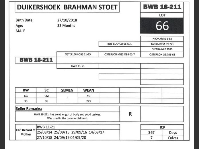 BWB 18-211